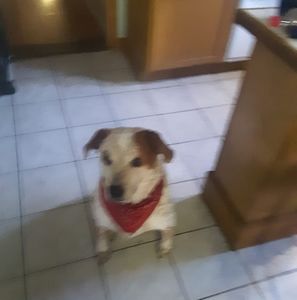 Meet your Posher, Leon